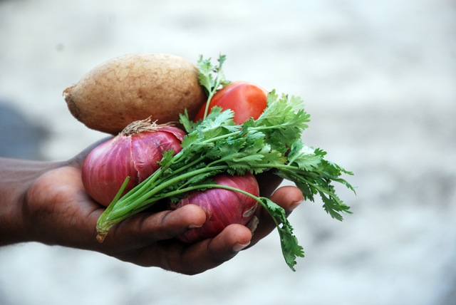 A handful of veggies